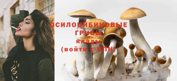 mix Абинск
