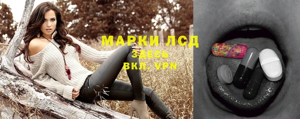 прущие грибы Алексеевка