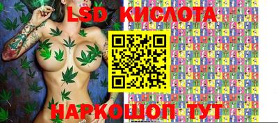 молекула духа Шахты