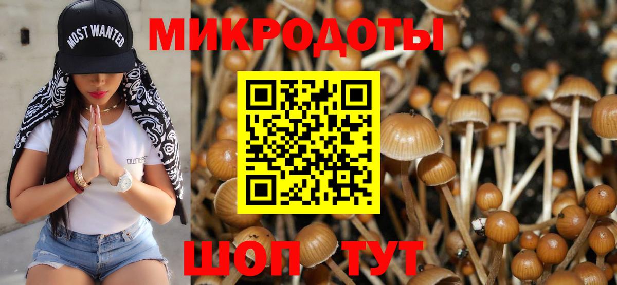 Псилоцибиновые грибы Magic Shrooms Котовск